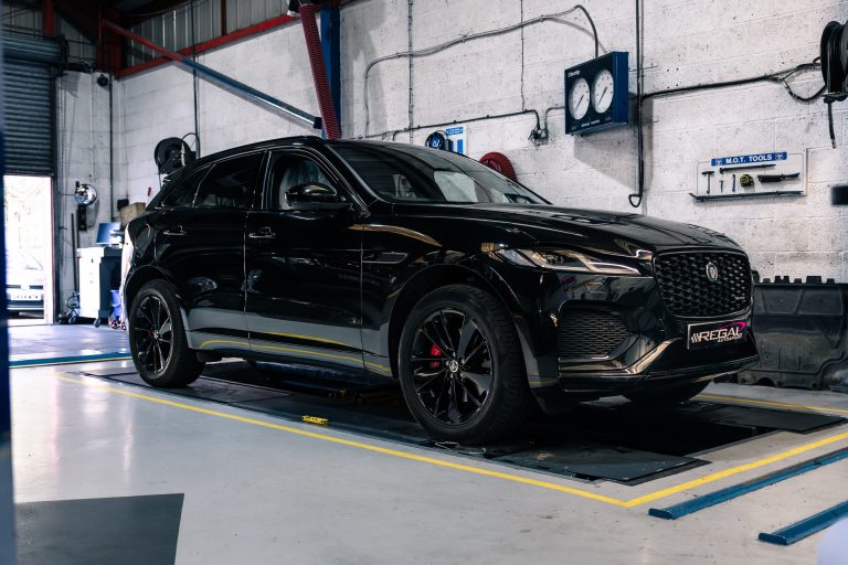 DSC01393-Enhanced-NR